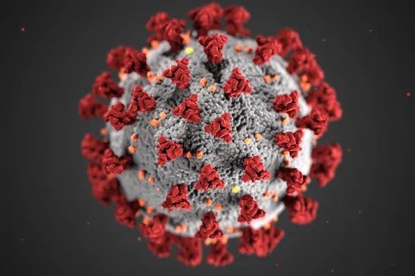 Coronavirus Cell
