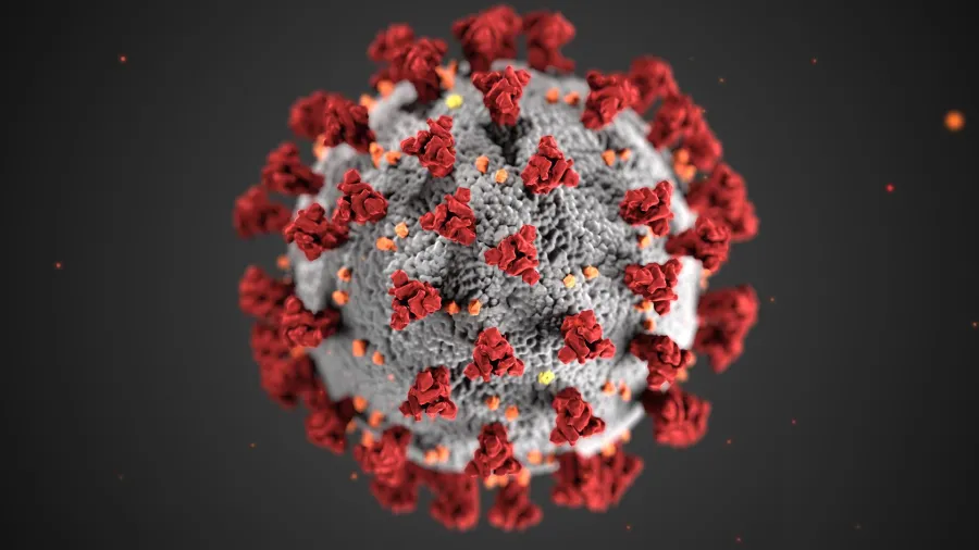 Coronavirus Cell